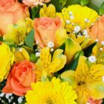 花束/黄色オレンジ系/誕生日/送別/シック