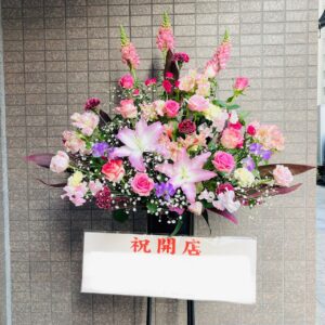 FS1003