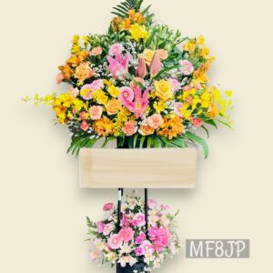 FS1002