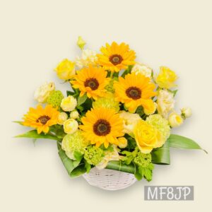 FA1029N