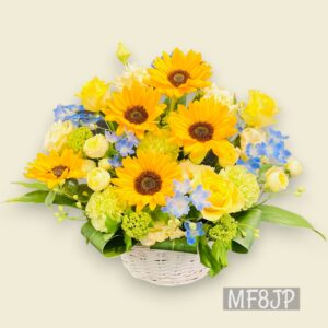 FA1028N