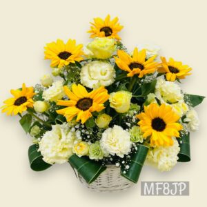 FA1025N
