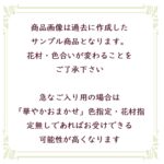 サンプル写真の説明文