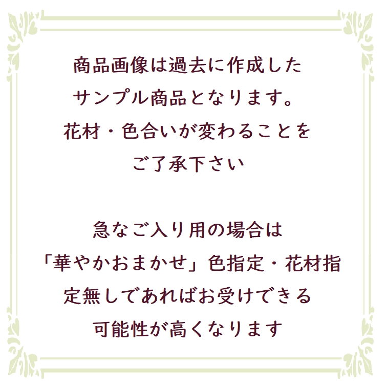 サンプル写真の説明文
