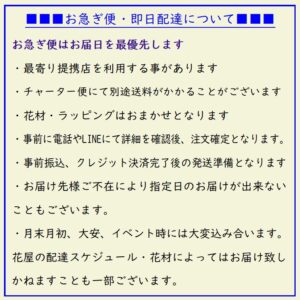 胡蝶蘭の商品説明文