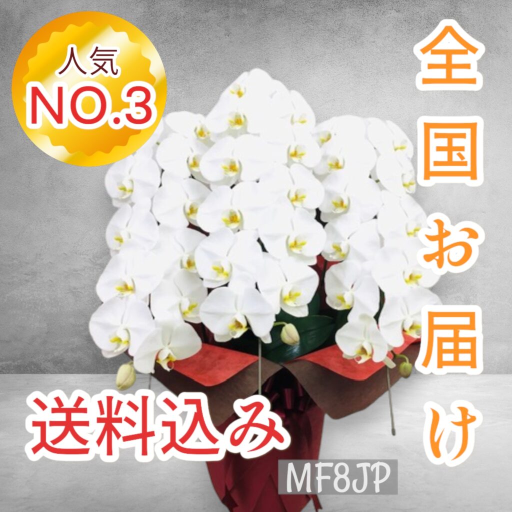大輪胡蝶蘭/開店花/社長御就任/全国お届け/竣工