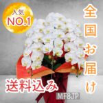 お祝いギフト/胡蝶蘭/法人向け/3本立ち/開業お祝い/ご就任お祝い/人気NO.1/全国発送